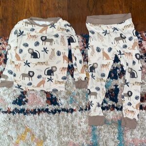 Little Sleepies Big Cats